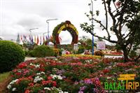 Vườn hoa thành phố Đà Lạt Vườn hoa thành phố Đà Lạt